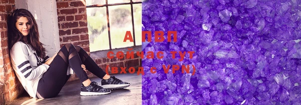 стаф Карпинск