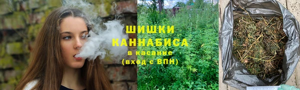 стаф Карпинск