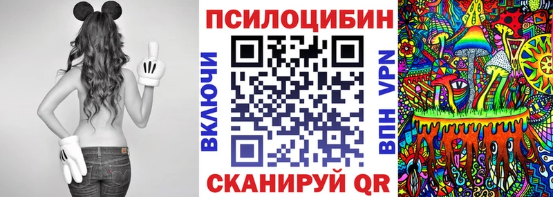 Галлюциногенные грибы Psilocybe Северобайкальск