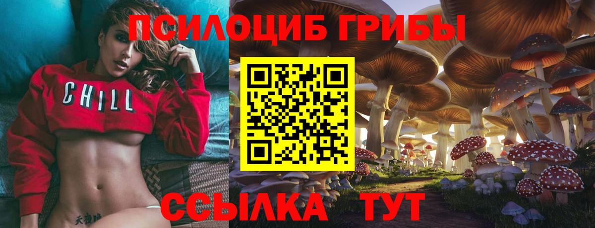Галлюциногенные грибы Psilocybine cubensis Северобайкальск